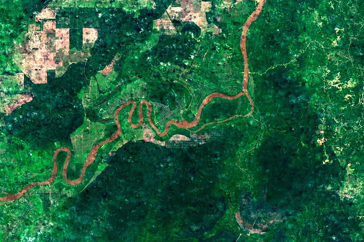 Kapuas River: satellite view of the mouth