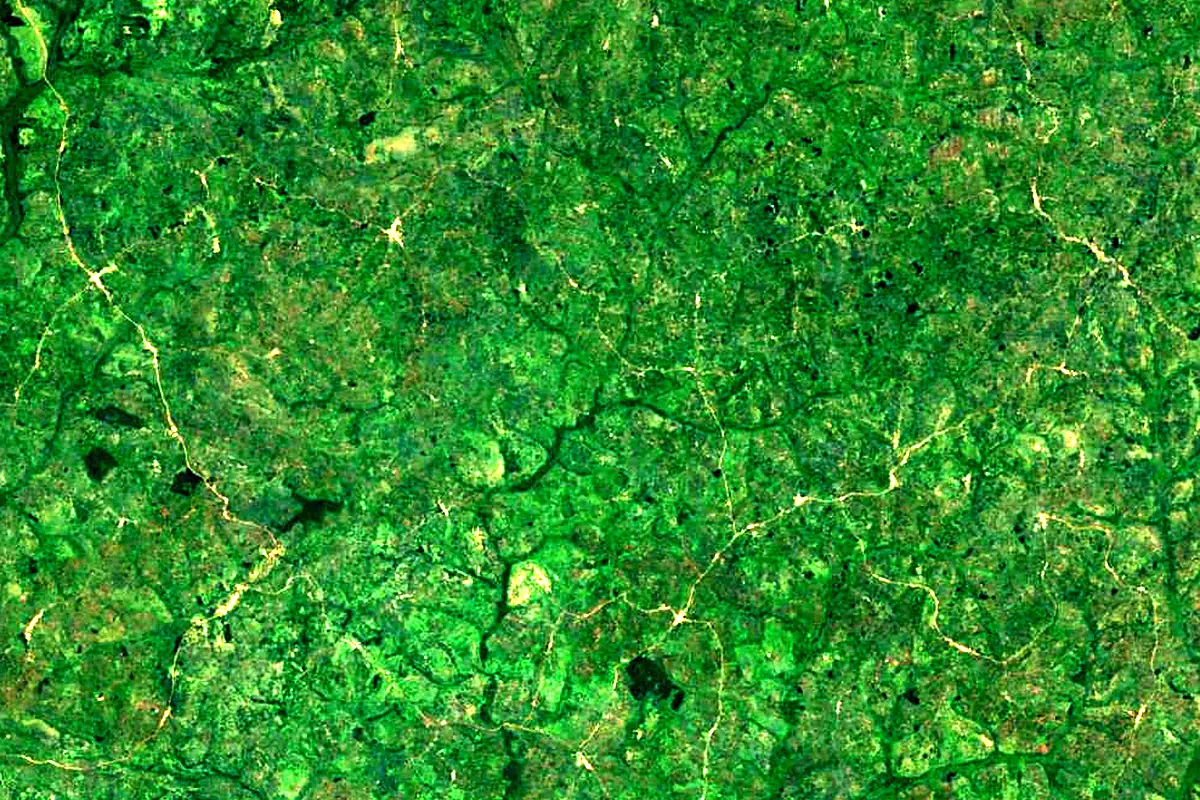 Katonga River: satellite view of the source