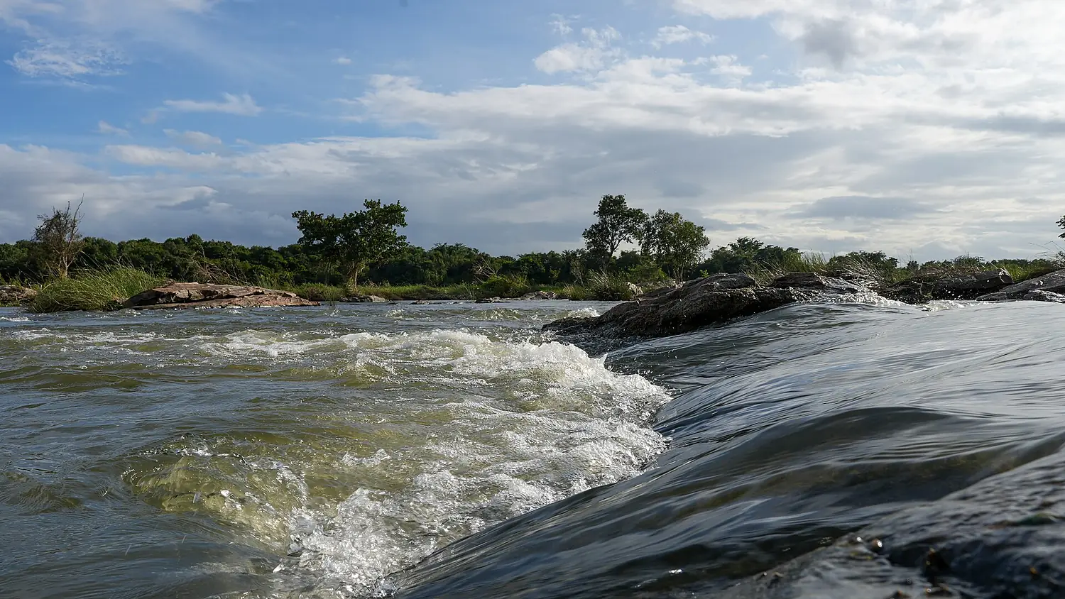 Rapids Kaveri Doddegaudana Koppalu Mandya Aug24 A7CR 02167