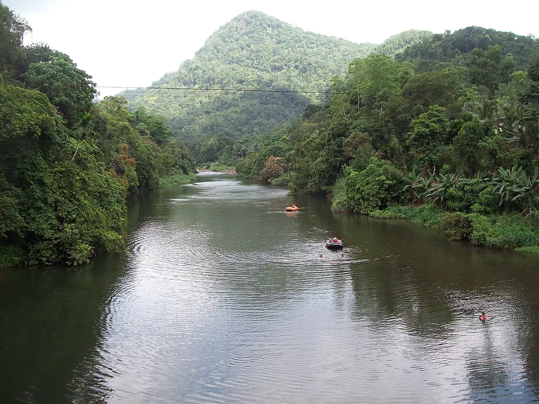 Kelani Ganga - panoramio (5)