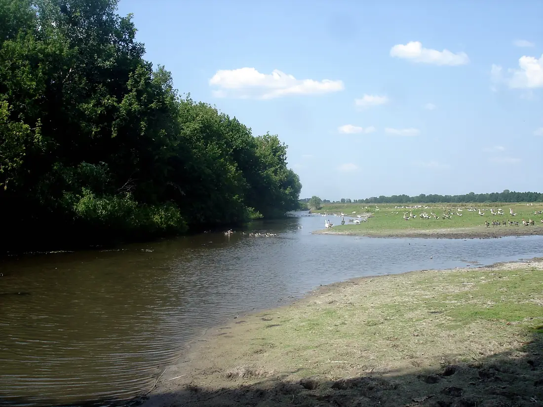 Khorol River (in the center of Berezova Luka) 02