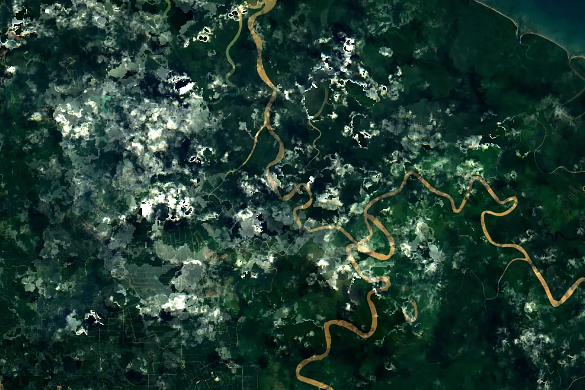 Kinabatangan River: satellite view of the mouth