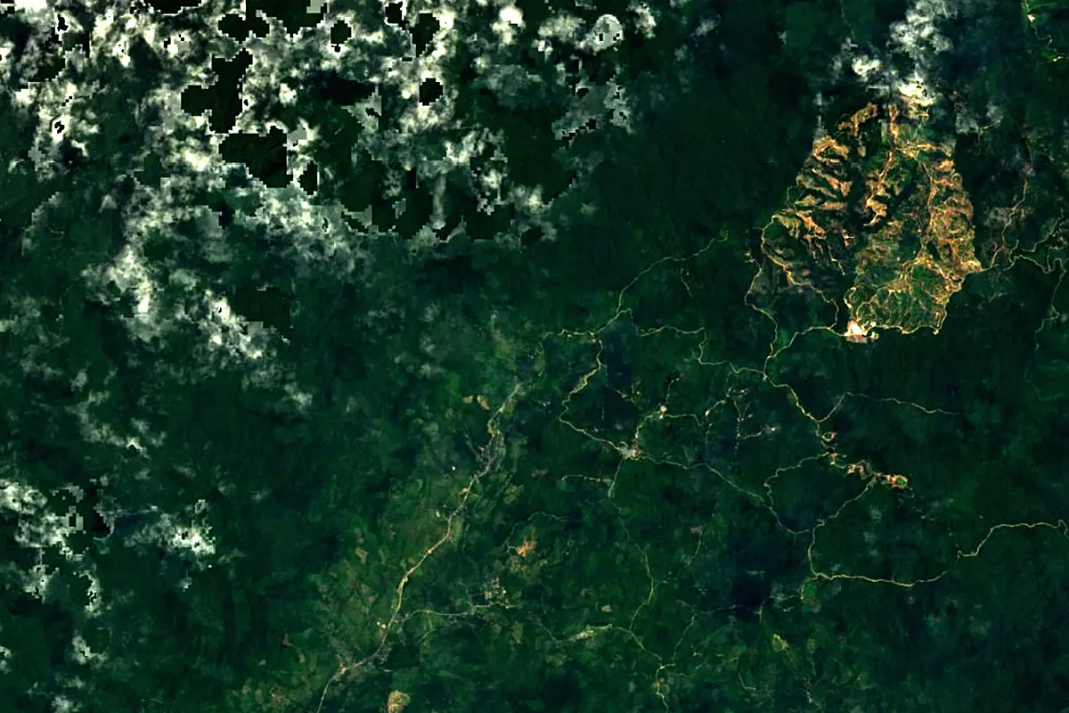 Kinabatangan River: satellite view of the source