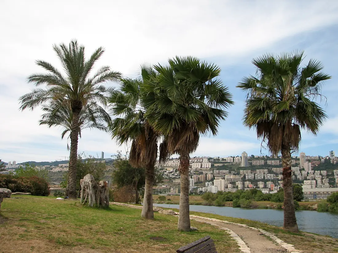 Park Kishon, Haifa 023
