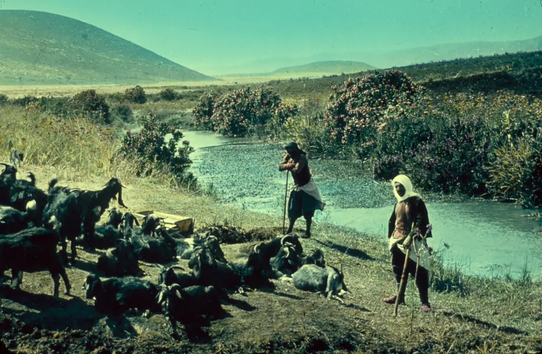 Along the Mediterranean coast, southward. River Kishon. between 1950 and 1977. matpc.22997