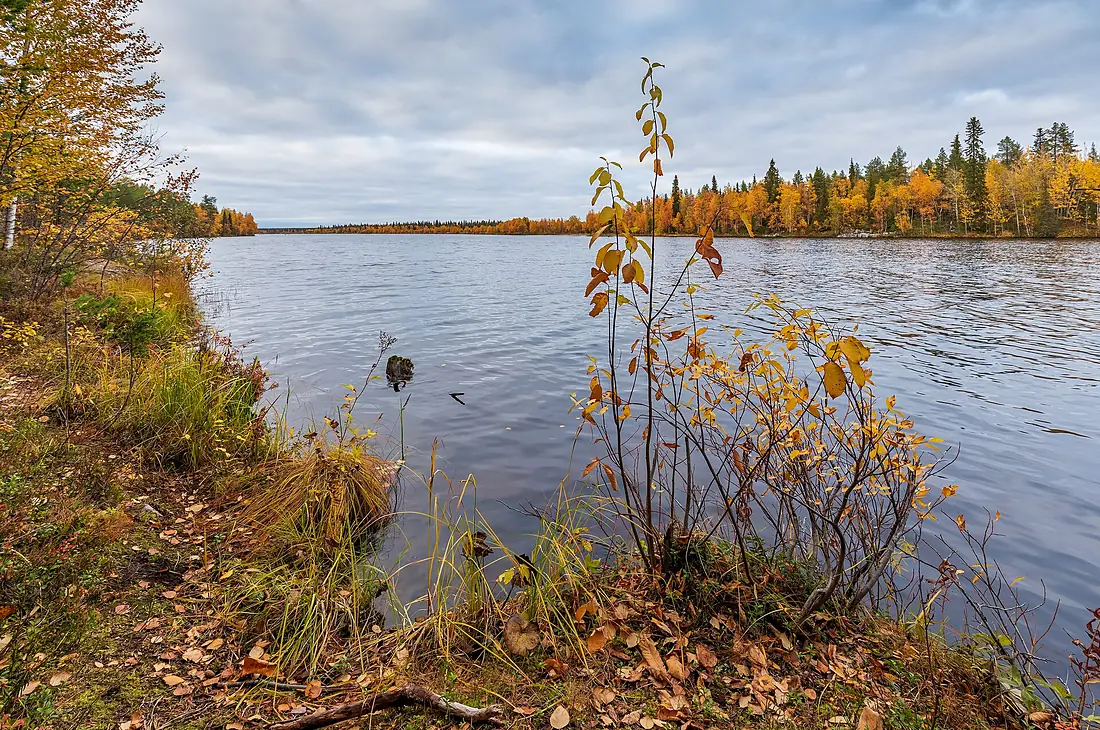 River Kitinen near Peurasuvanto, Sodankylä, Lapland, Finland, 2021 September