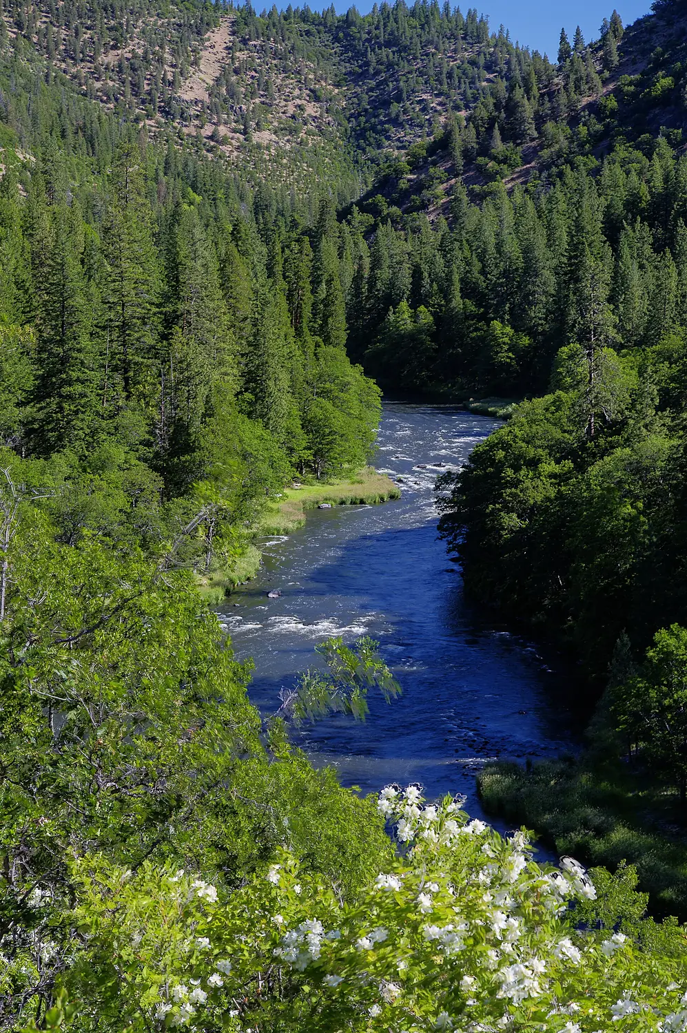 Klamath River (27694156513)