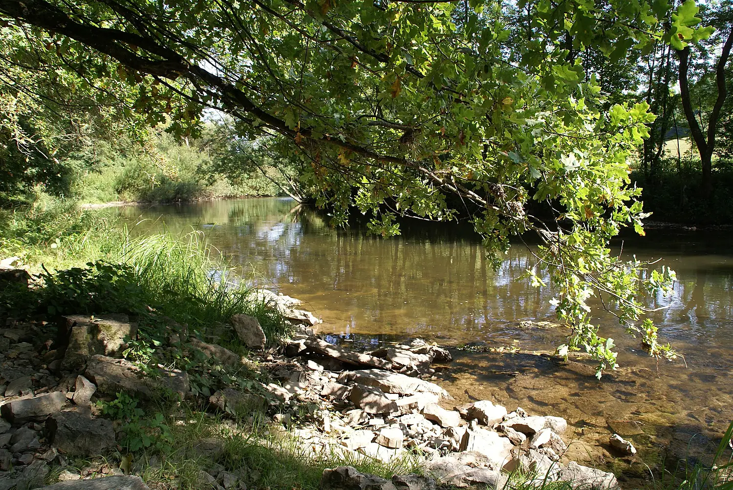 Kochertal