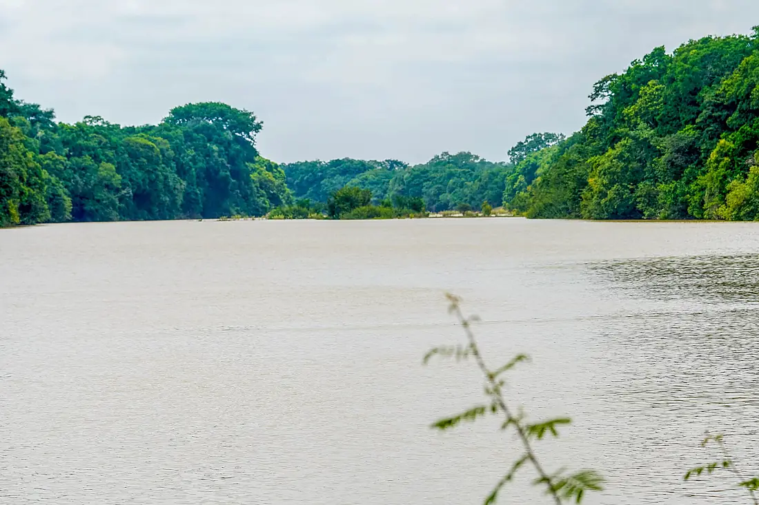 Fleuve Comoé dans le Parc National de la Comoé