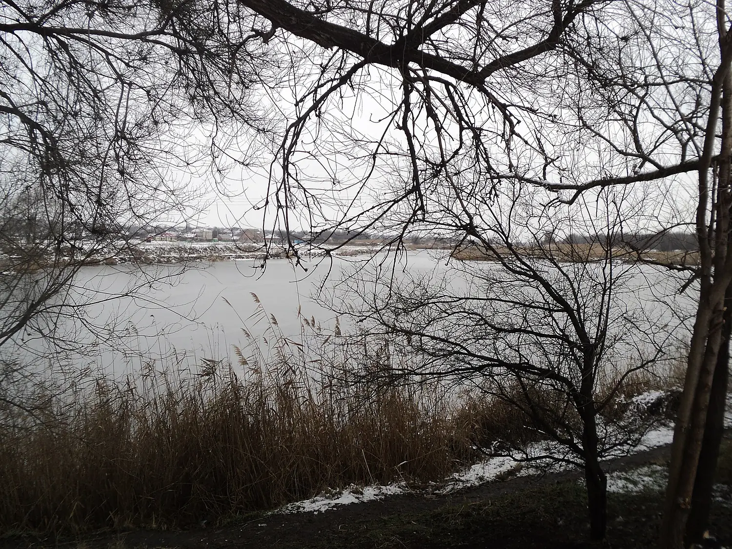 Кінська в Оріховому