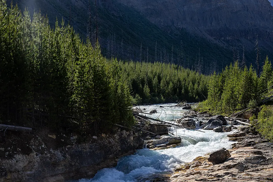 Marble Canyon, Kootenay National Park, British Columbia, 2025-07-11 11