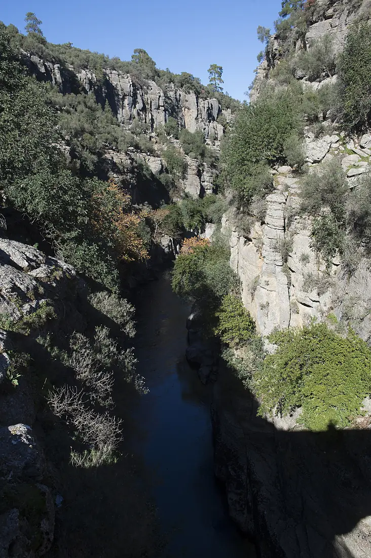 Köprüçay at Eurymedon Bridge 2013 5046