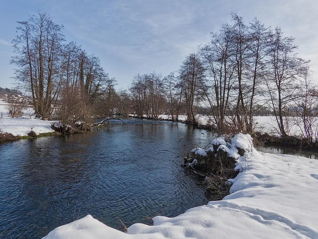 Confluence of Poltarica and Krka 02
