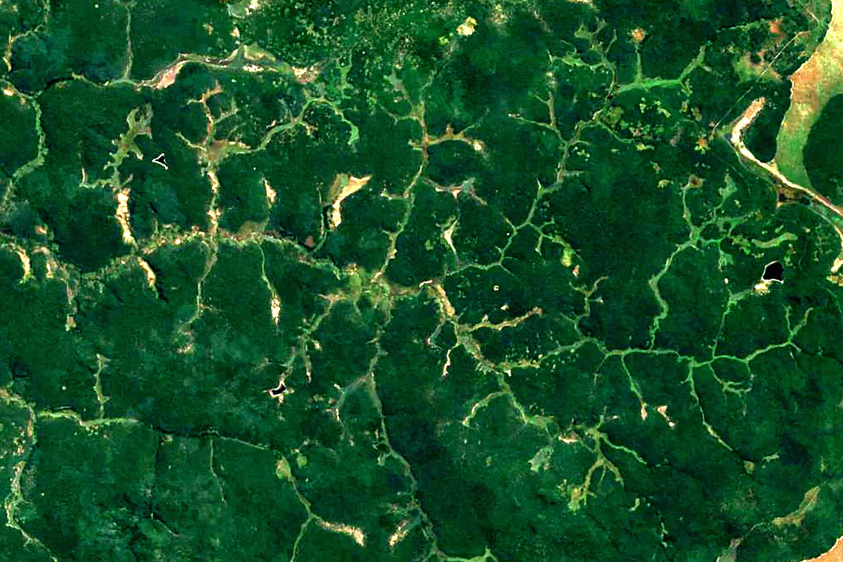 Kwango River: satellite view of the source