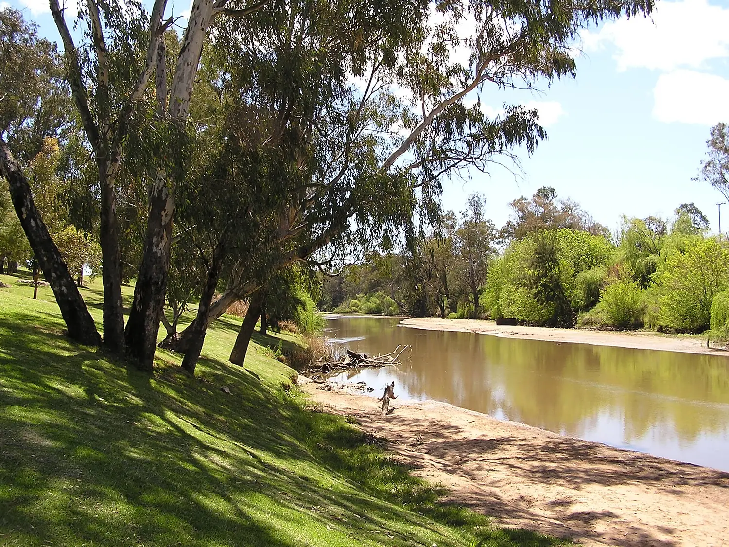 LachlanAtCowra