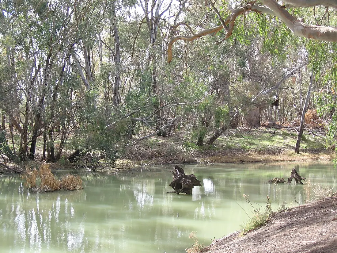 BooligalLachlanRiver1