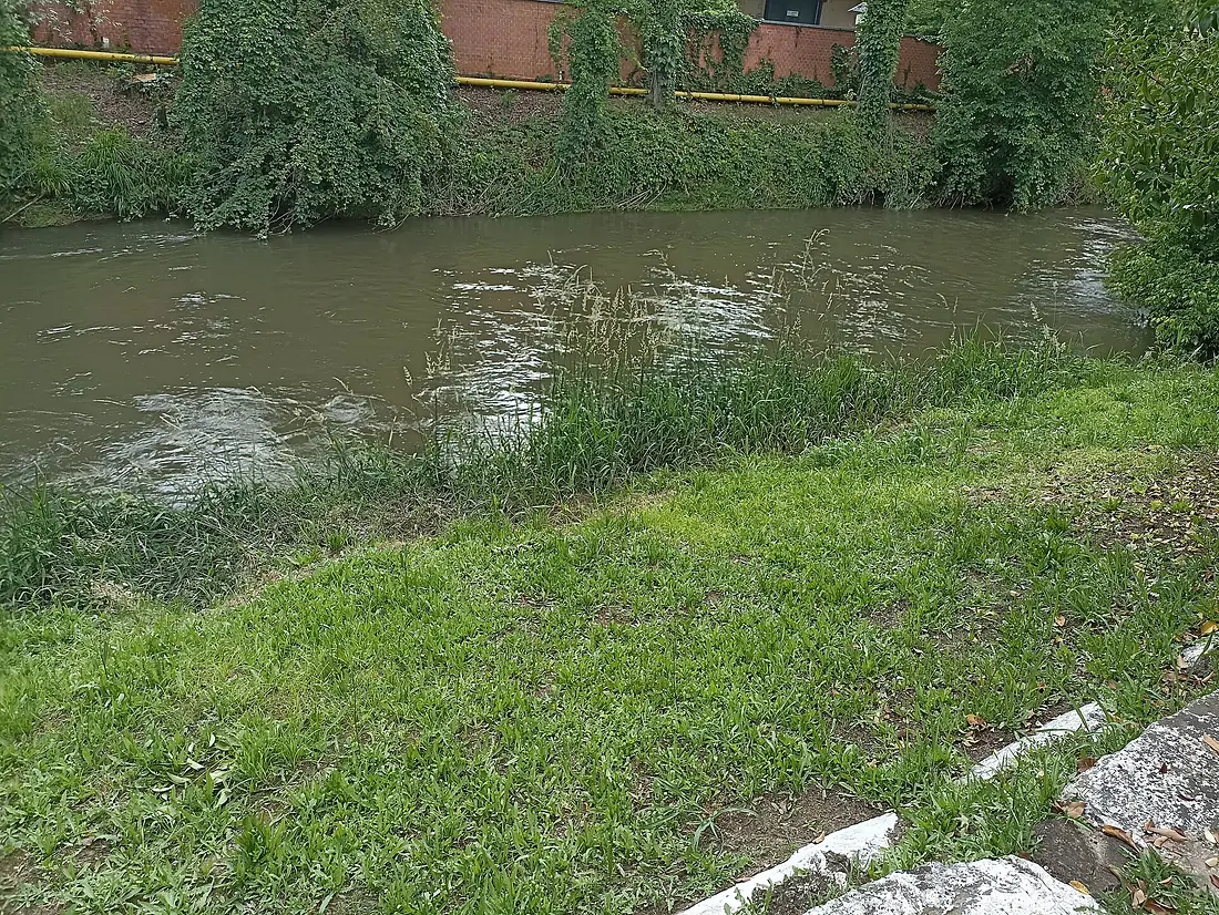 Lambro a Ponte Albiate (Triügg)