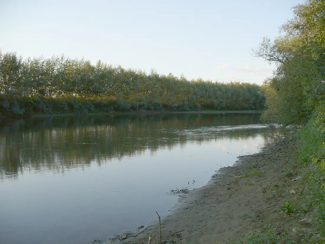Latorca - Latorica - panoramio