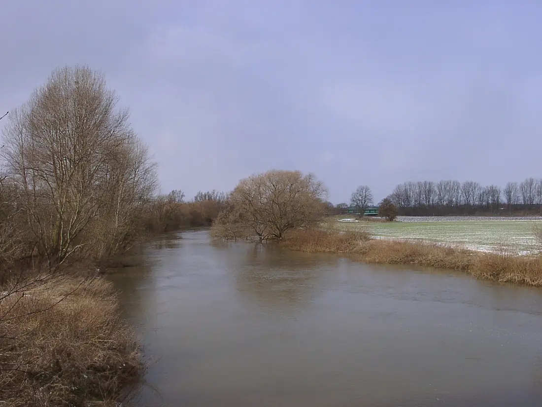 02170003 - Seelze - Leineaue - 2005