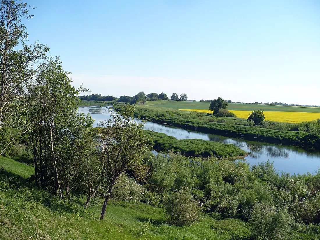 Lielupe river, view to South. May, 2009 - Ivars Indāns - Panoramio