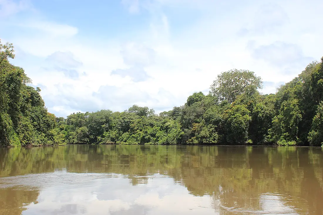 Kaba or Little Scarcies River Outamba Kilimi Park