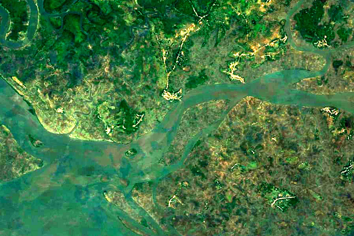 Little Scarcies River: satellite view of the mouth