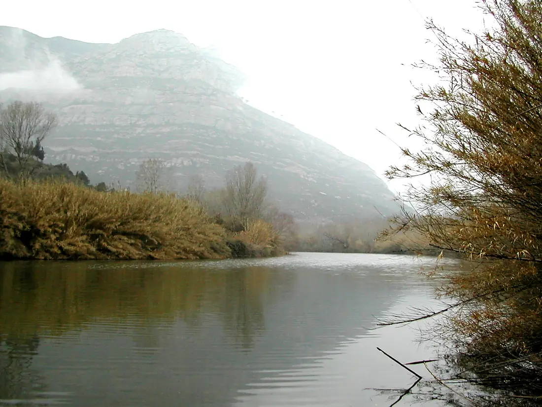 Llobregat 2