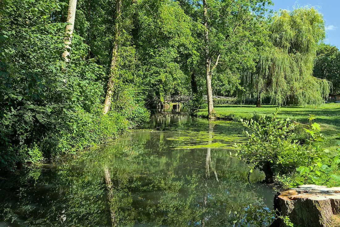 Illiers-Combray - Loir river - 2