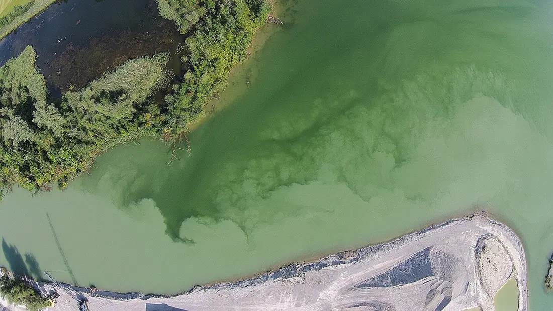 Loisachmündung Kochelsee von oben