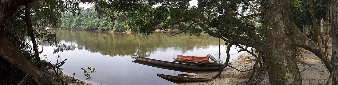 Lomami River at Katopa Camp, Democratic Republic of the Congo