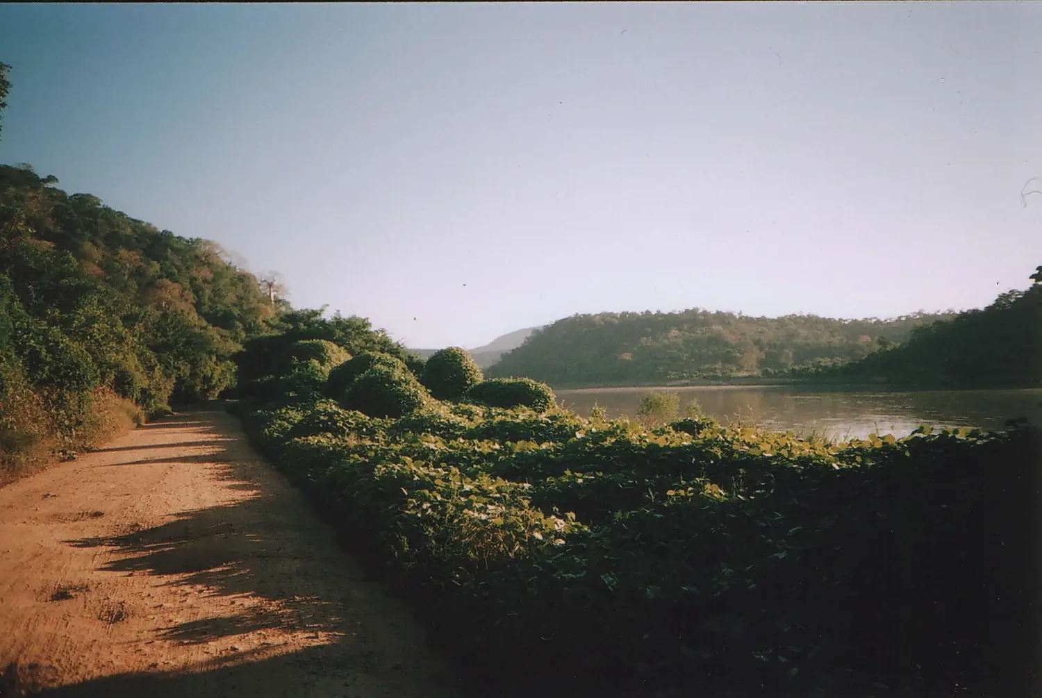 Luangwa river