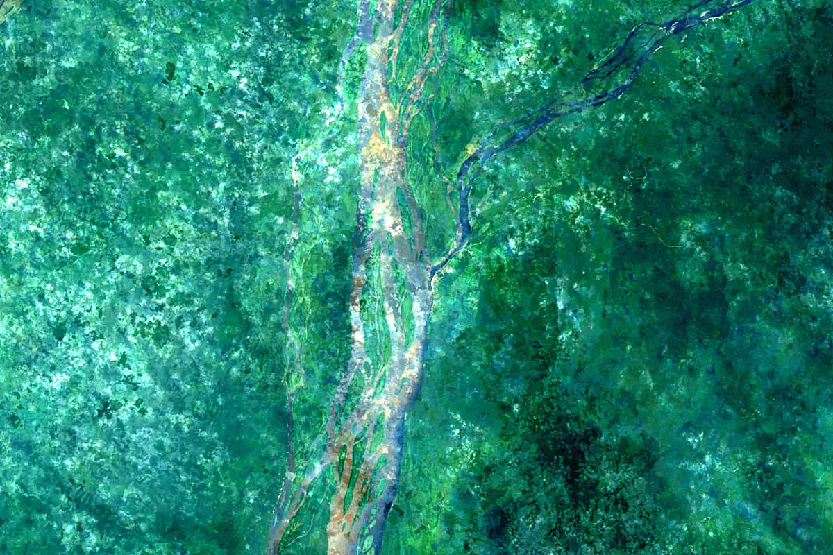 Lulonga River: satellite view of the mouth
