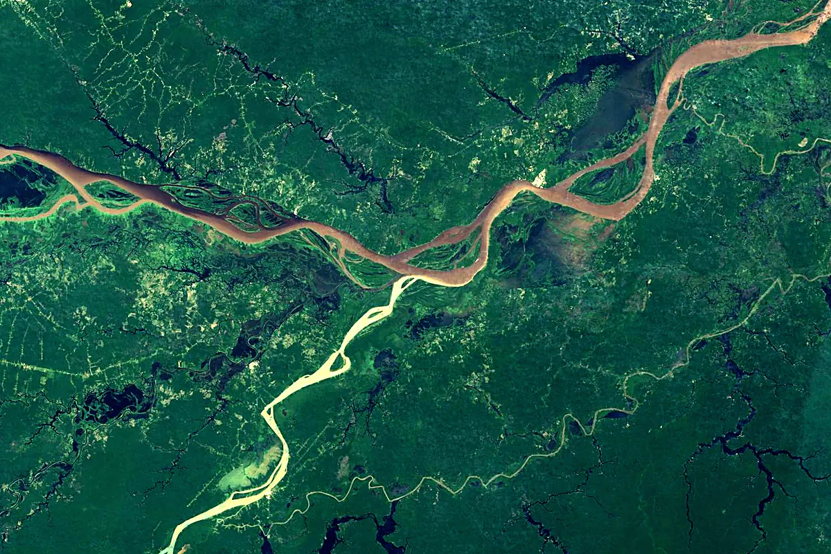 Madeira River: satellite view of the mouth