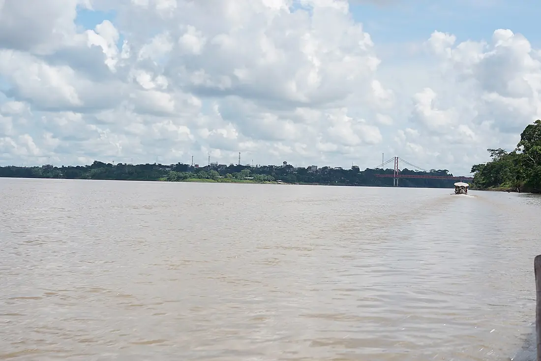 Madre de Dios DSC00652