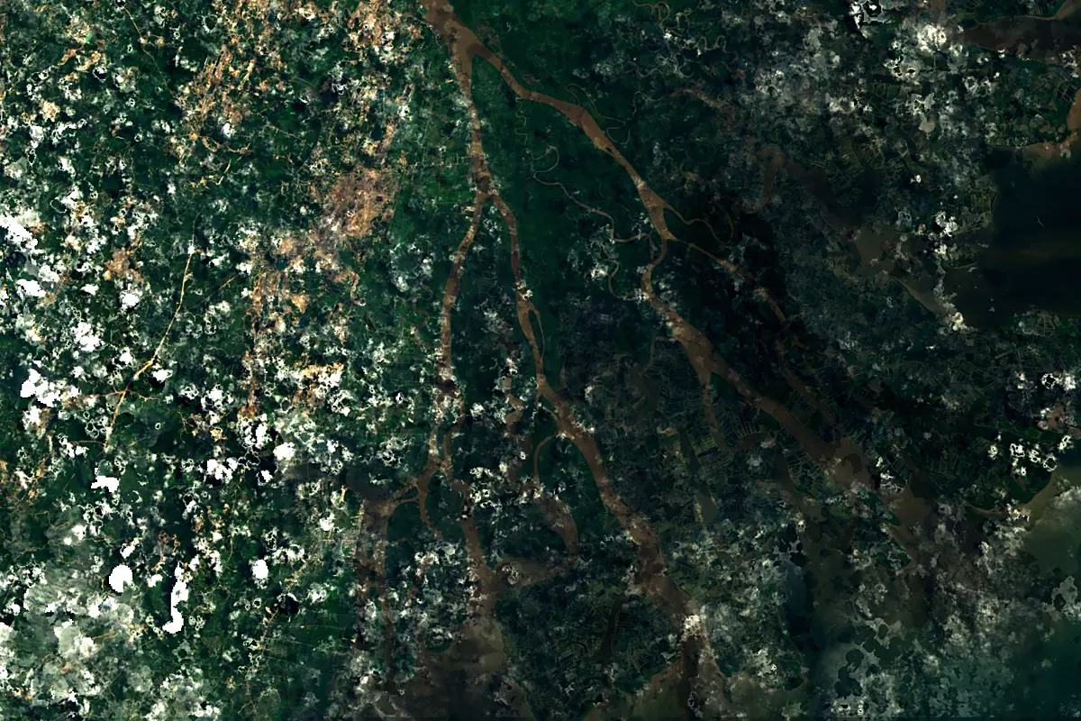 Mahakam River: satellite view of the mouth