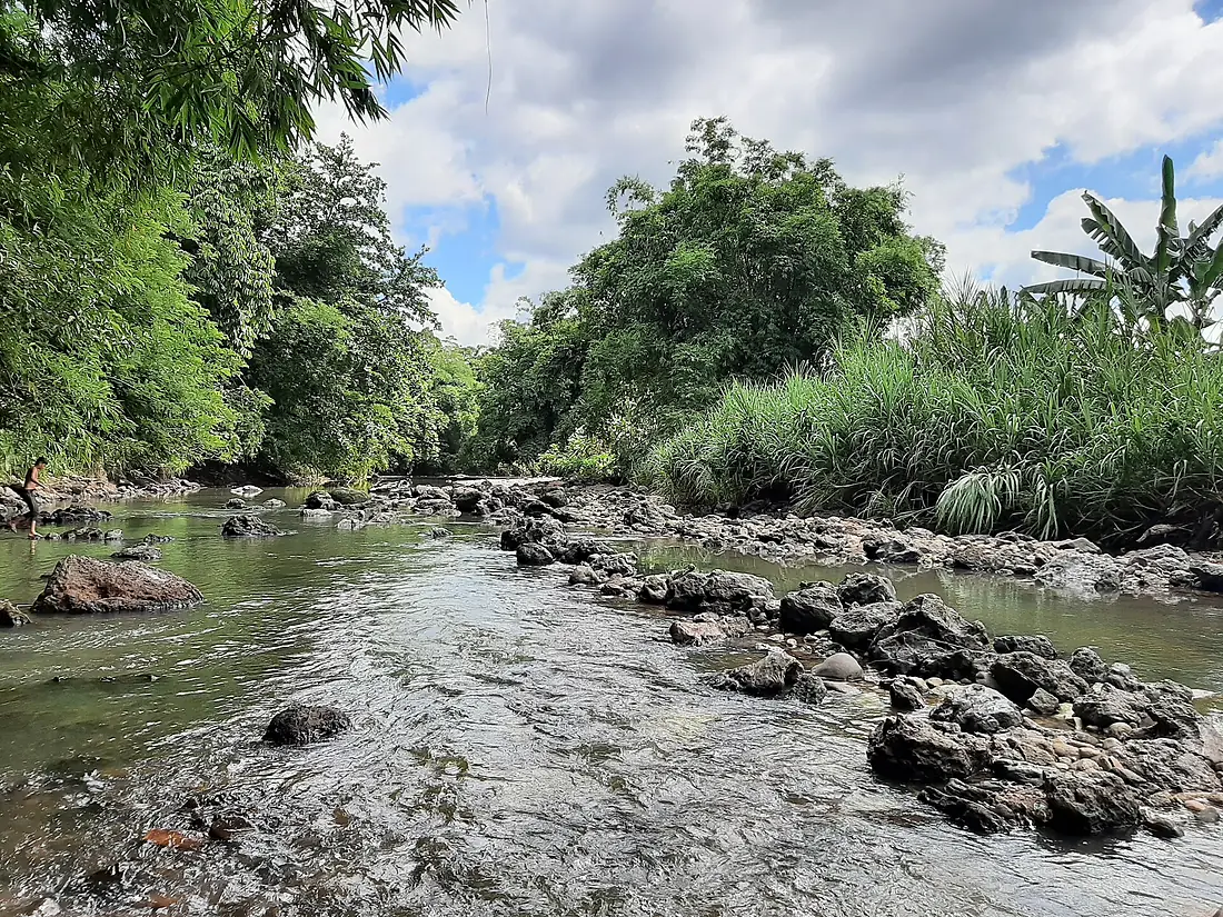 Mahaweli branch river