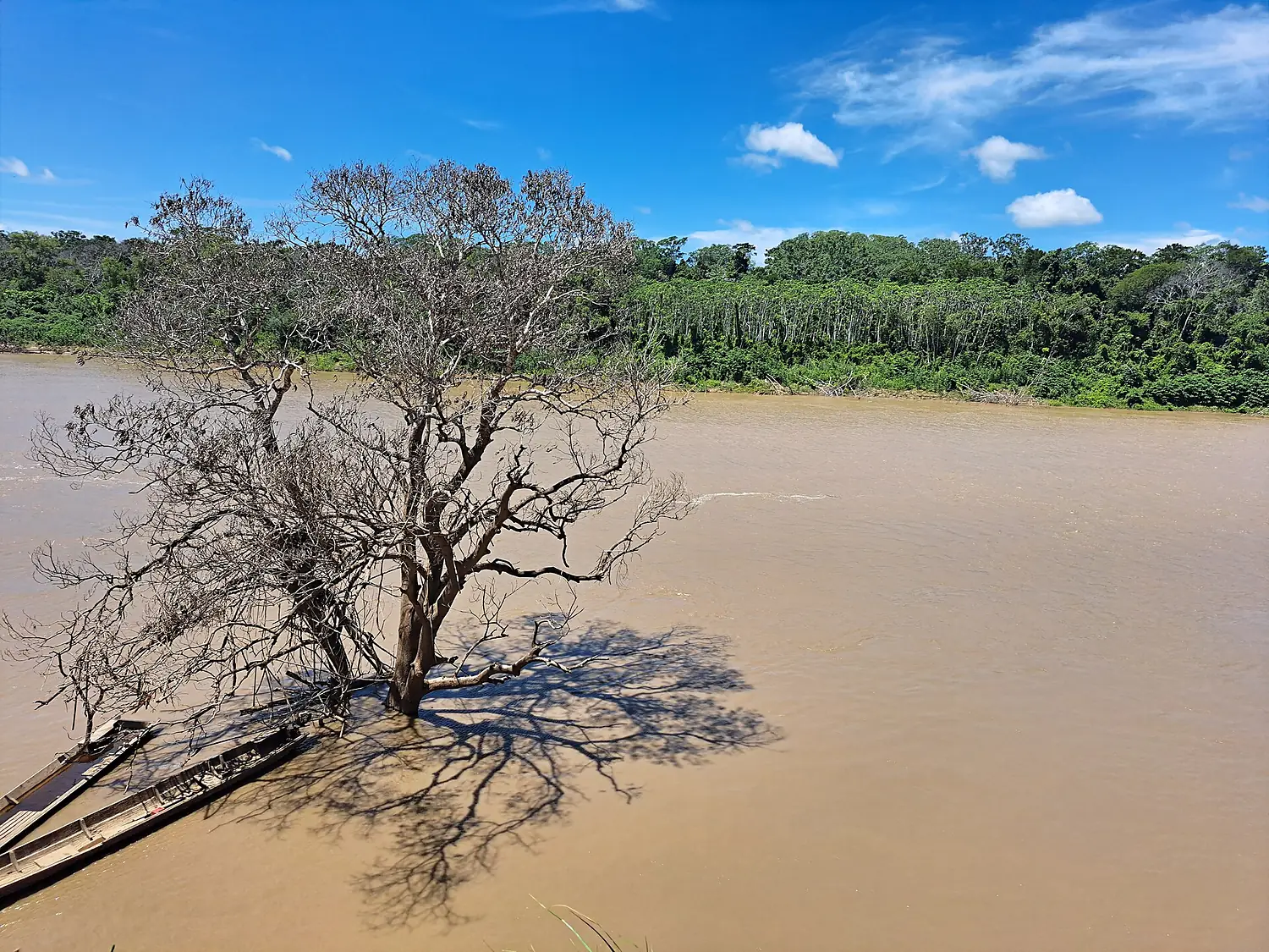 RIO MAMORE