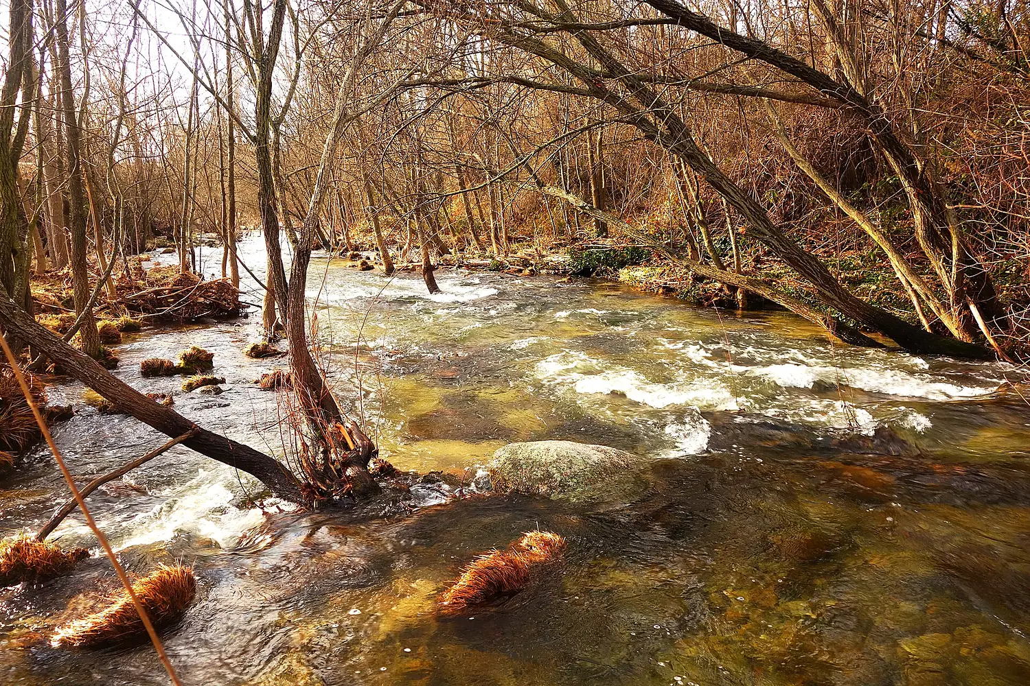 El río Manzanares (32972459575)