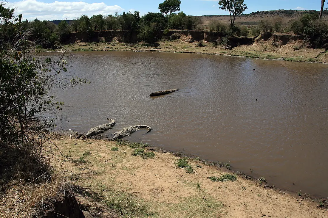 Riviere mara
