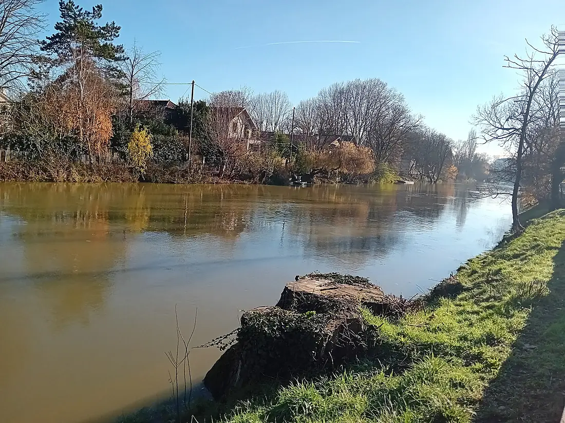 Calme en bords de Marne 01
