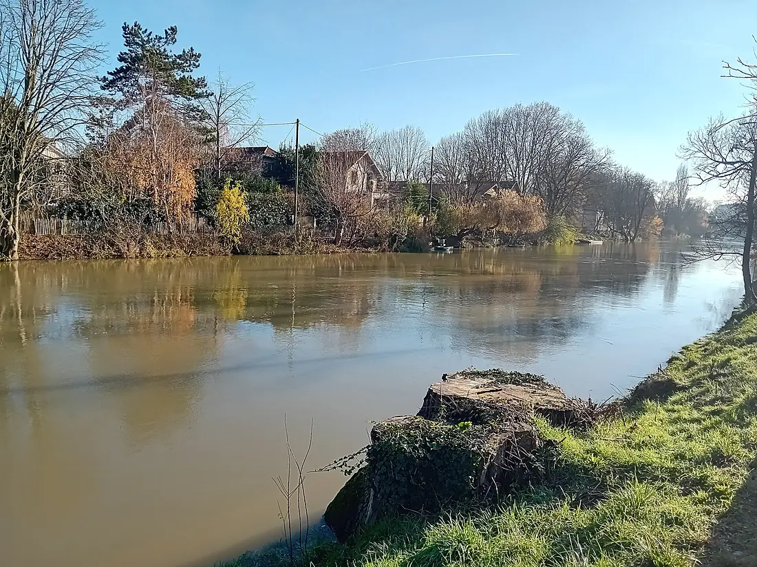 Calme en bords de Marne 02