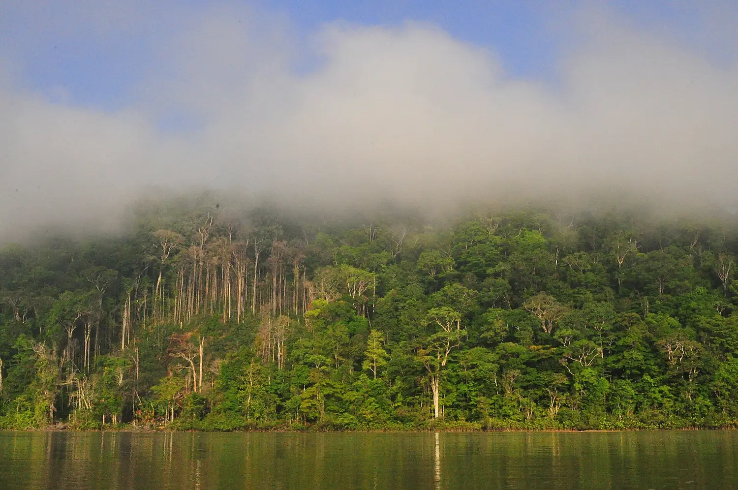 ALI, M. (2011-2013). Parc Amazonien de la Guyane. Fleuve Maroni. 1 (13)