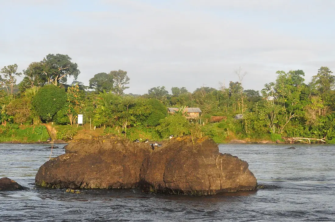 ALI, M. (2011-2013). Parc Amazonien de la Guyane. Fleuve Maroni. 1 (1)