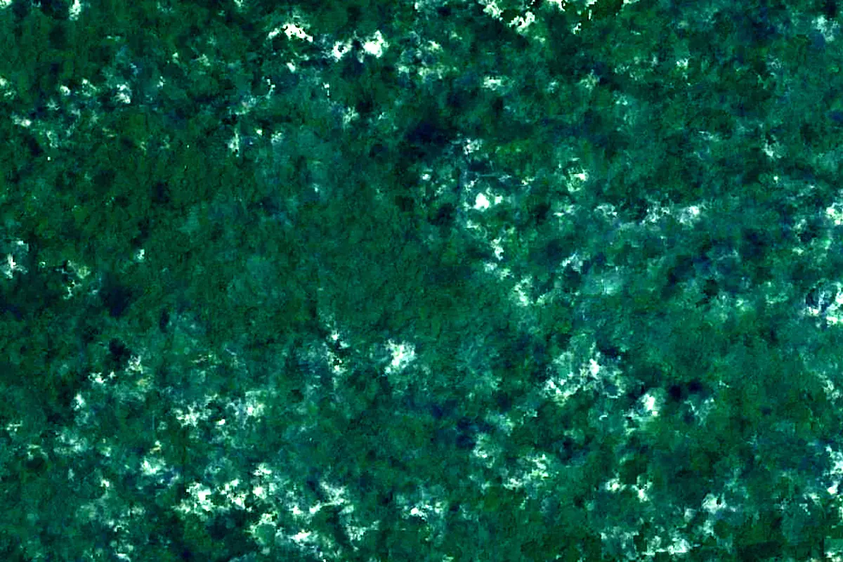 Maroni: satellite view of the source