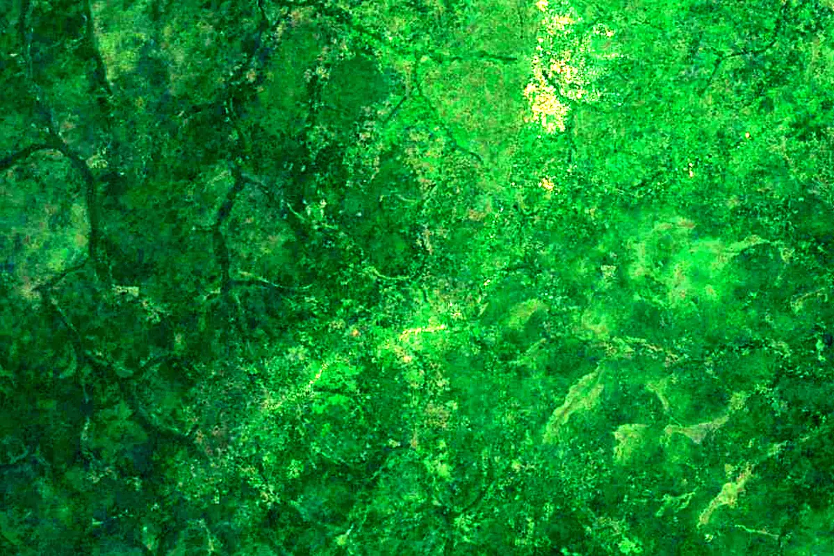 Mbomou River: satellite view of the source