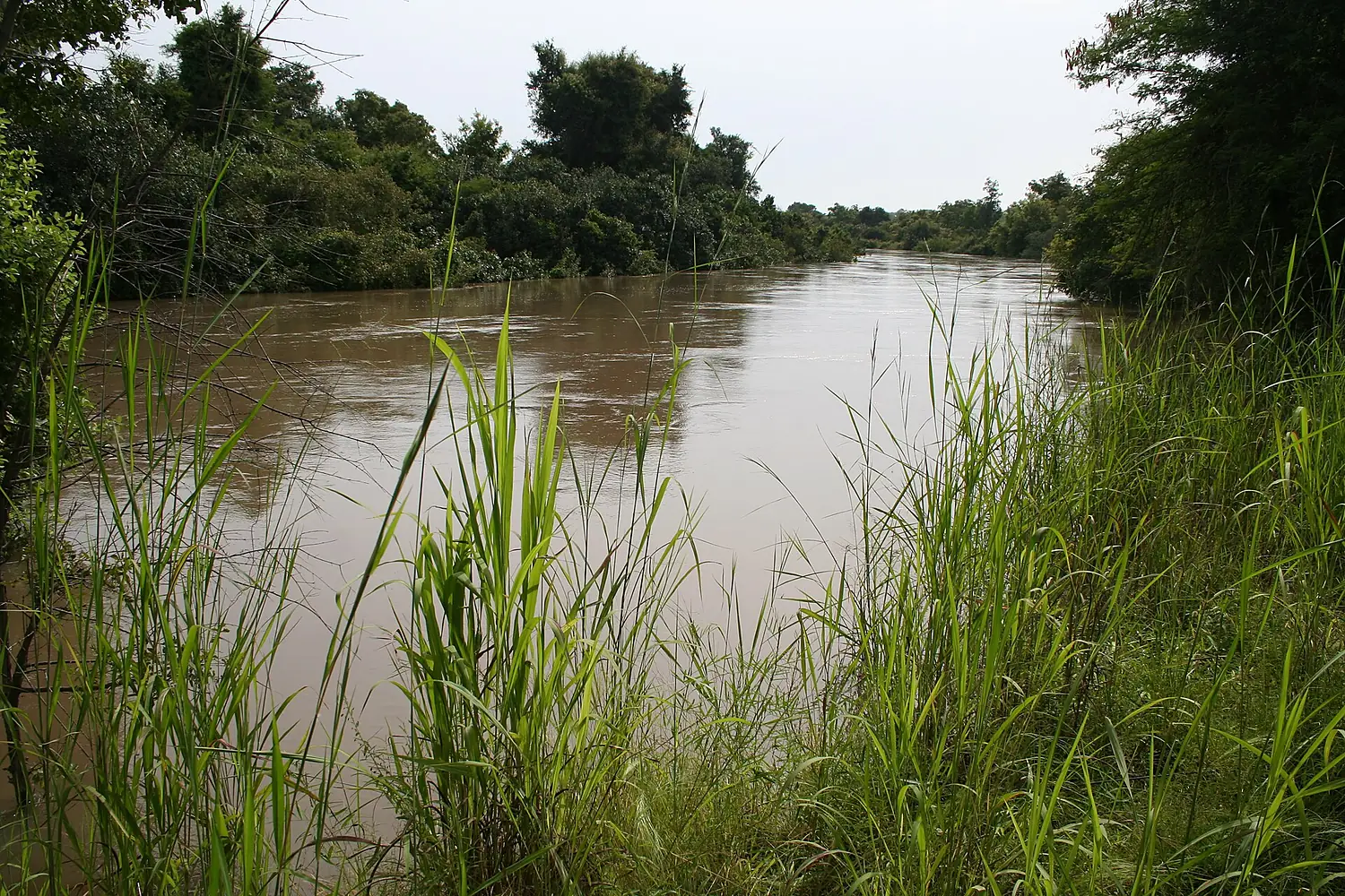 Mekrou river in W-National Park MS 6380