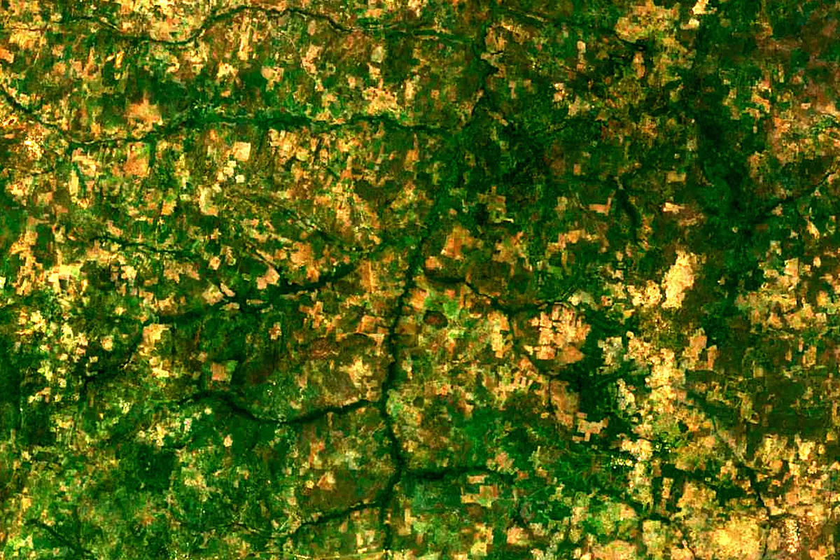 Mékrou River: satellite view of the source