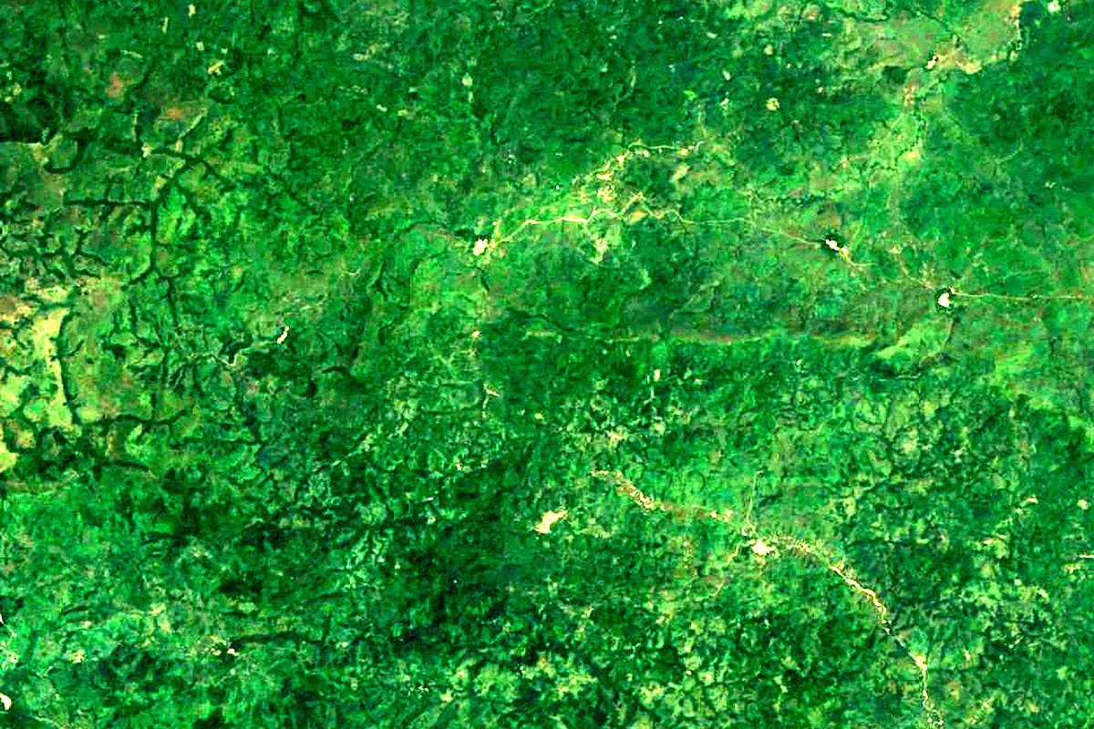Moa River: satellite view of the source