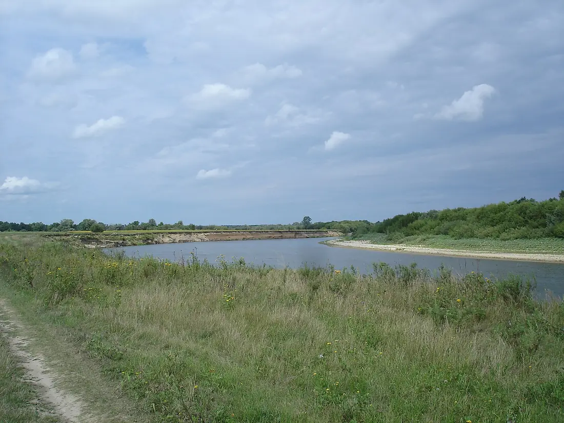 Moksha - near the village Savro-Mamyshevo