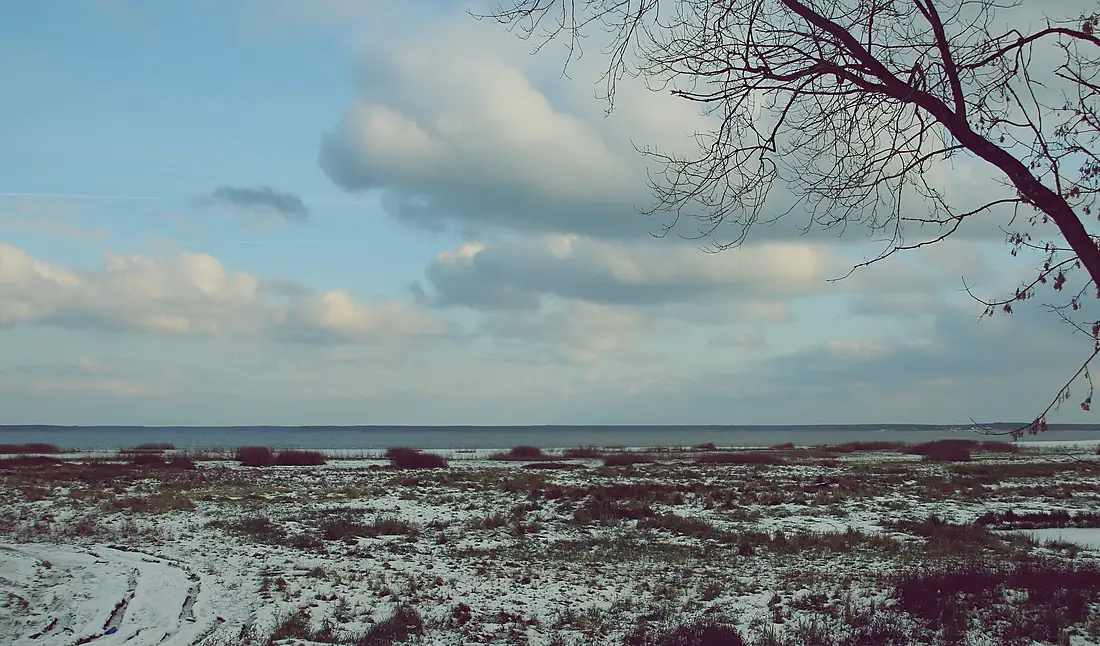 Mologa River around Vesyegonsk (30222572304)